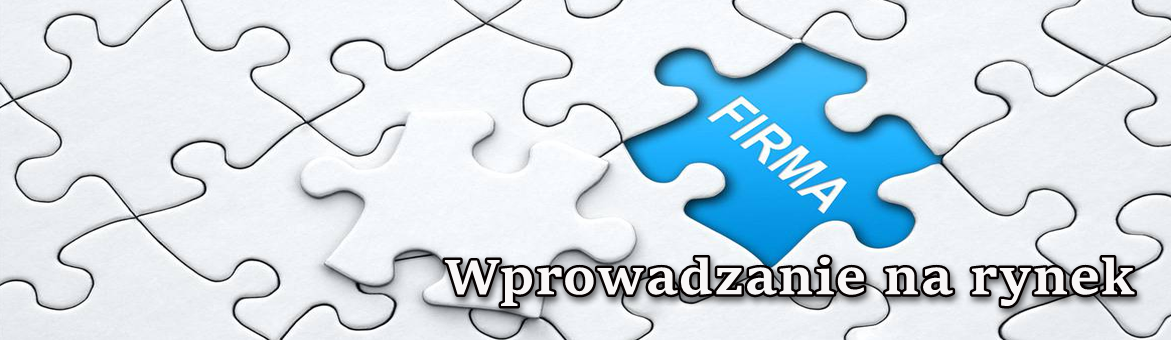 Wprowadzanie na rynek - Płock, Sierpc, Gostynin, Rypin, Toruń, Włocławek - IR FIN Płock